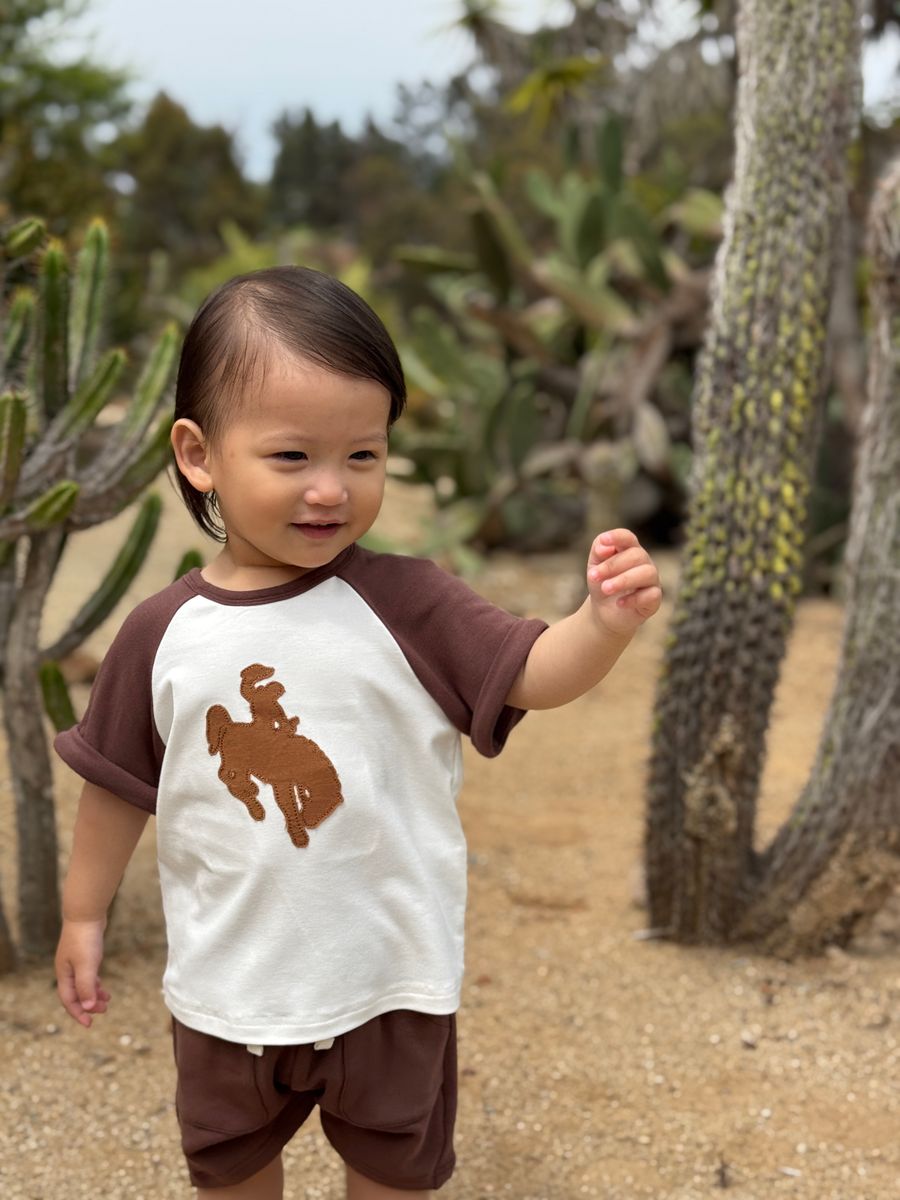 Cowboy applique Set