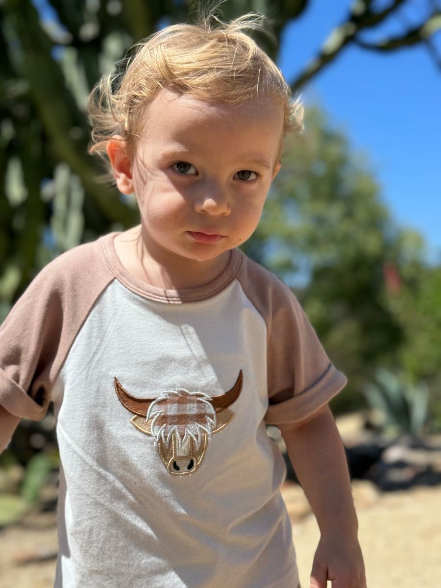 Cow Applique Set