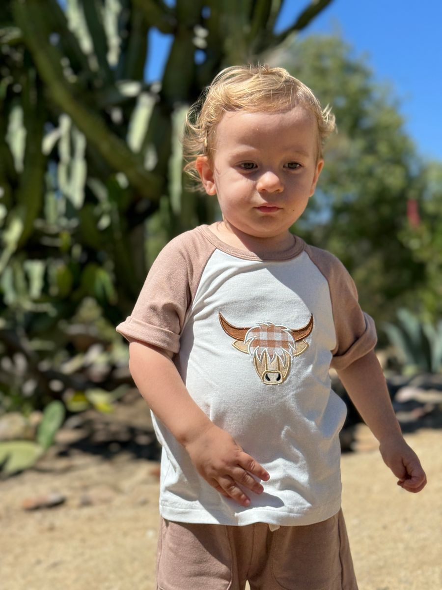 Cow Applique Set