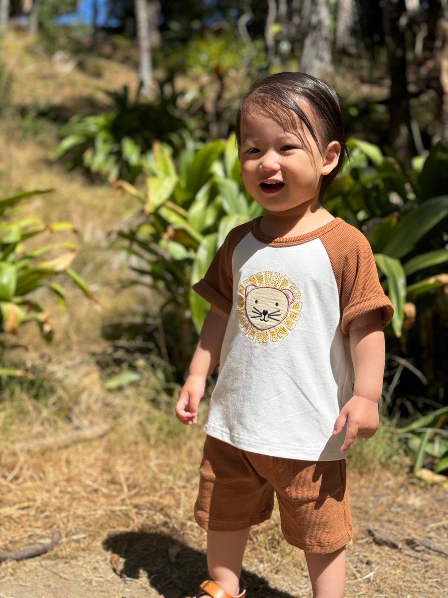 Lion Applique Set