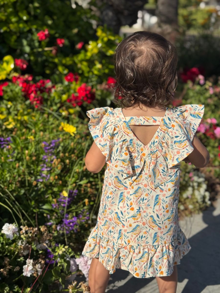 Piper Dress - Birds