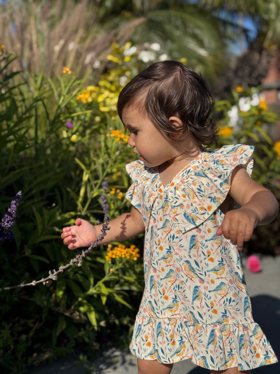 Piper Dress - Birds