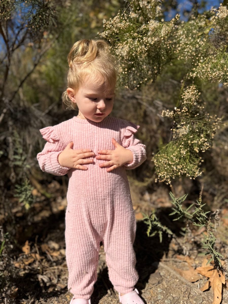 Noelle Romper -  Rose