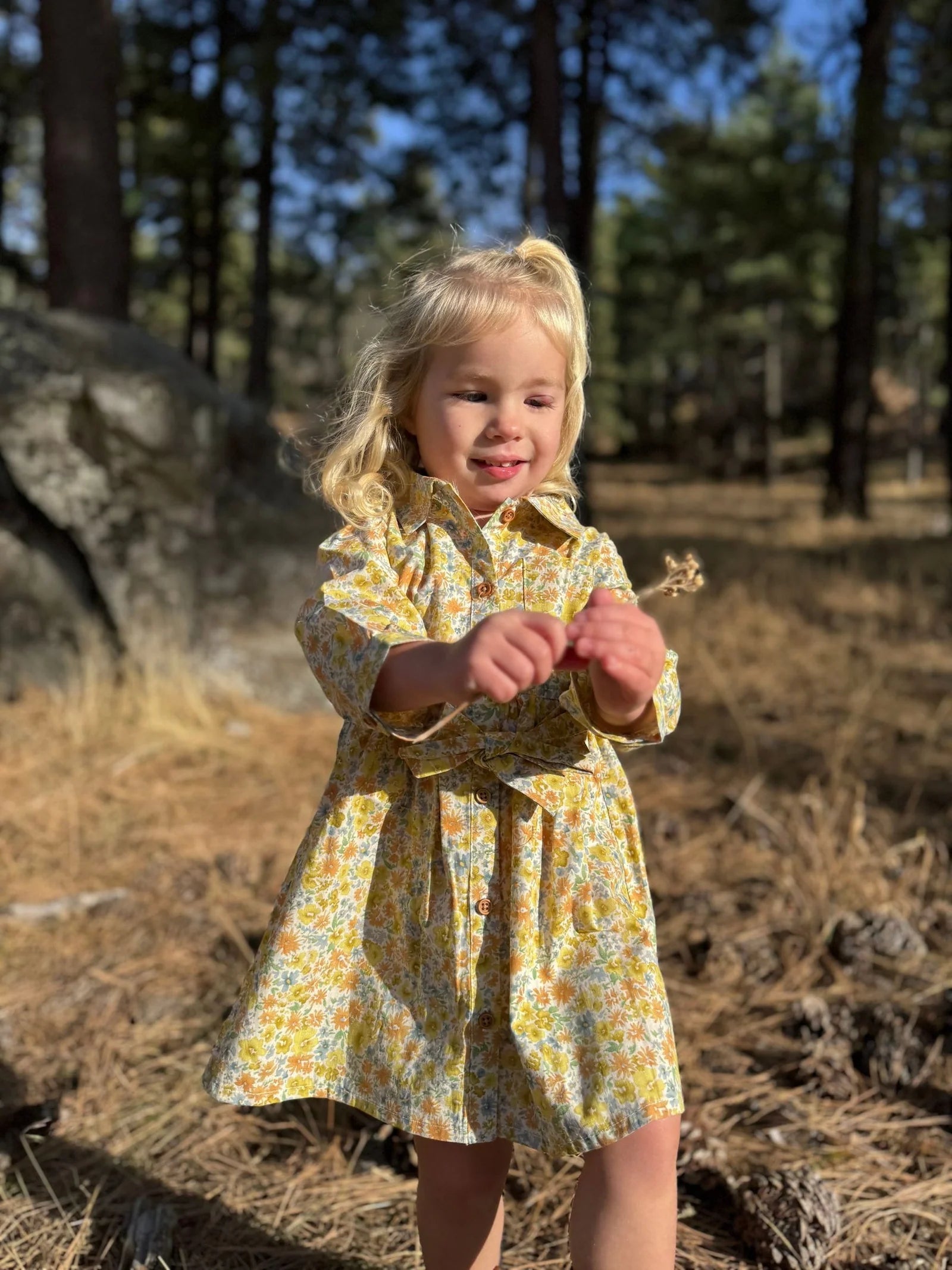 Amy Dress in Gold Meadow