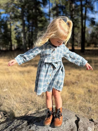 Amy Dress in Blue Plaid